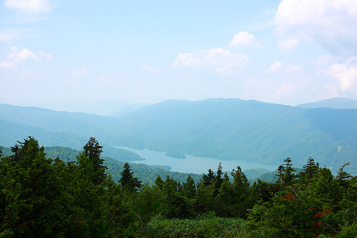 a0148606_13583778.jpg
