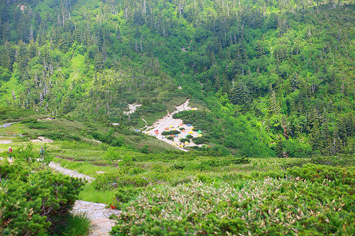 a0148606_1434830.jpg