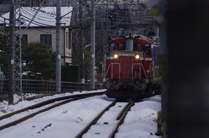 雪の降った次の日、北鎌倉で出会ったのは_b0151409_228433.jpg