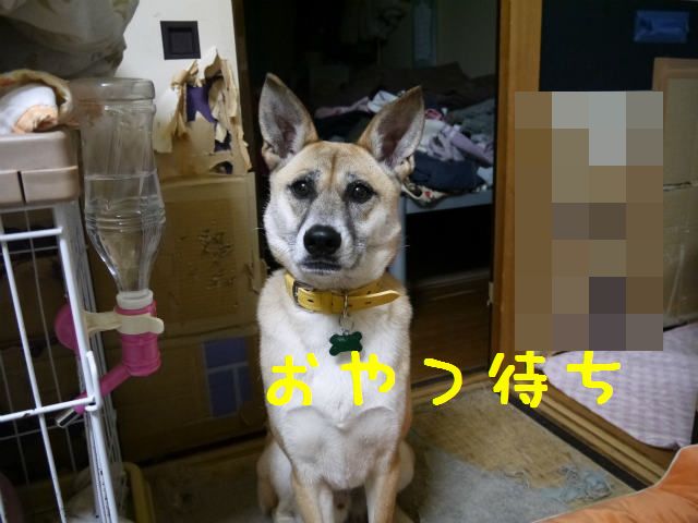 f0218911_2511893.jpg