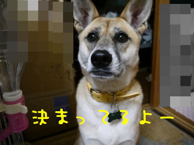 f0218911_2524921.jpg