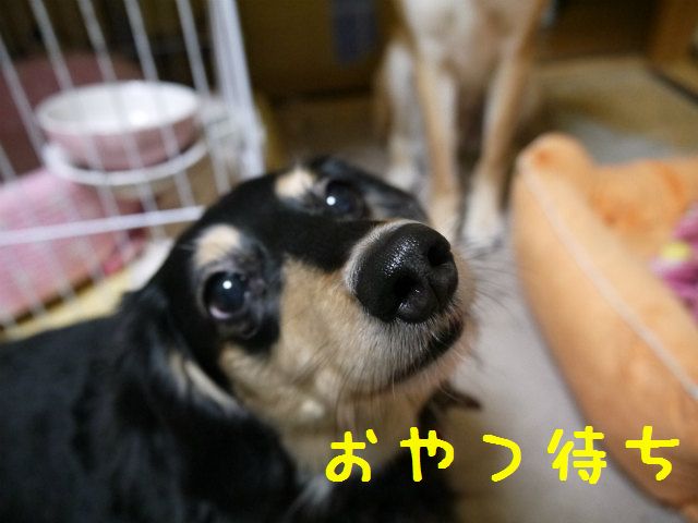 f0218911_2525977.jpg