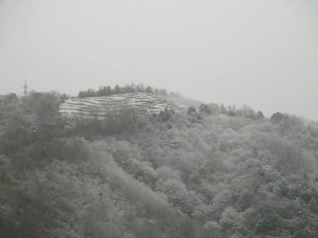 a0189513_20424735.jpg