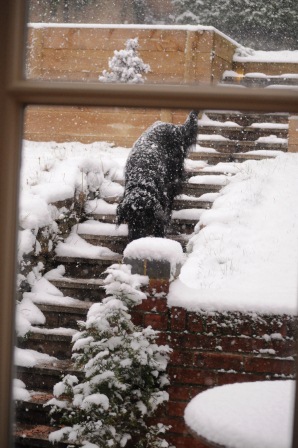 雪の１日を一緒にすごそう♡_d0104926_2391.jpg