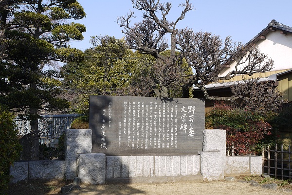 柴又帝釈天 初詣の旅　その４_c0196928_1851873.jpg