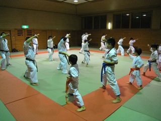 土曜日空手 体験と審査前最終稽古!_c0118332_2354256.jpg