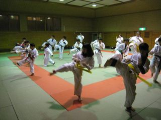 土曜日空手 体験と審査前最終稽古!_c0118332_2354262.jpg