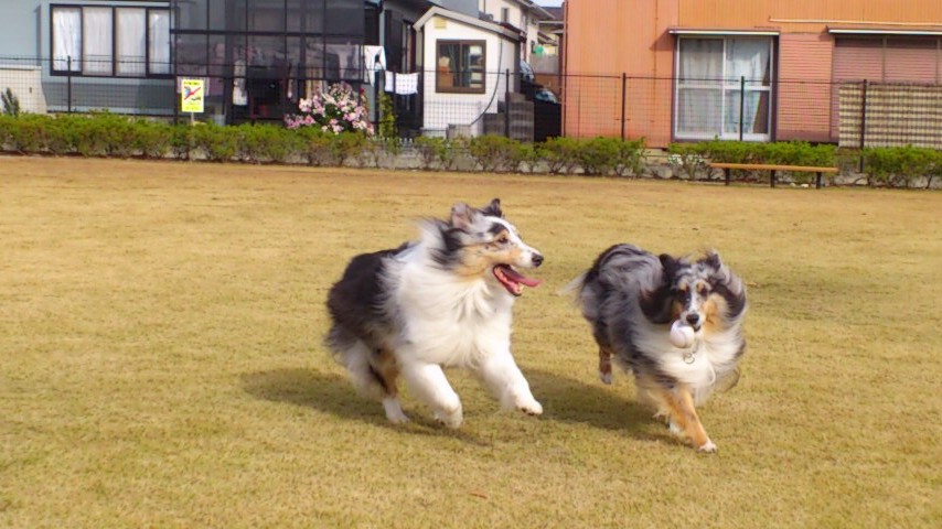 d0252434_16163634.jpg