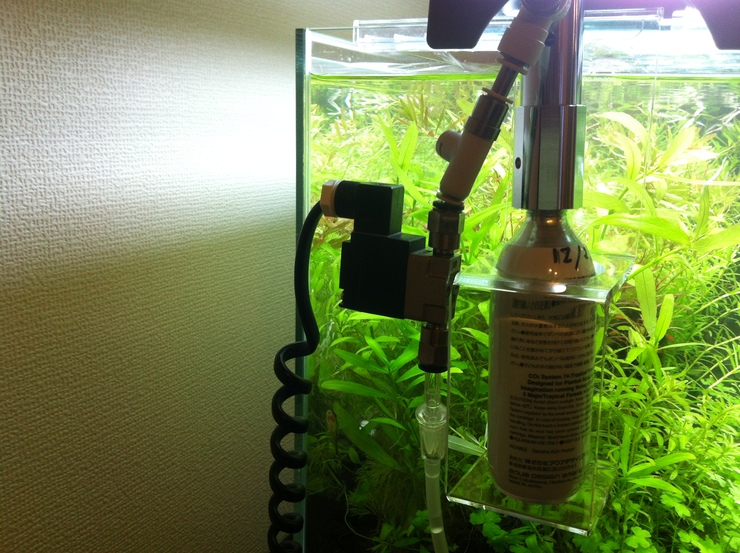Adaのco2グラスカウンターまでを再セット キノッピーの癒しの水草水槽 Adaのco2グラスカウンターまでを再セット キノッピーの癒しの水草水槽