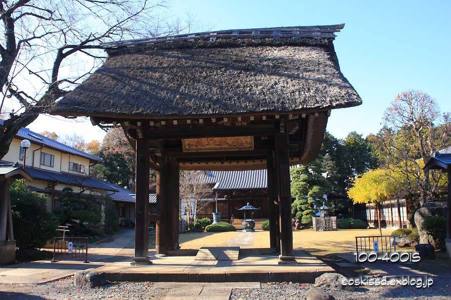 《花》　紅葉　18-270mm　（金剛寺）_c0080036_23563576.jpg