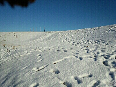 e0109336_2245252.jpg