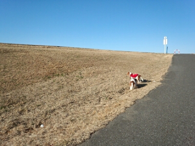 e0109336_22471710.jpg