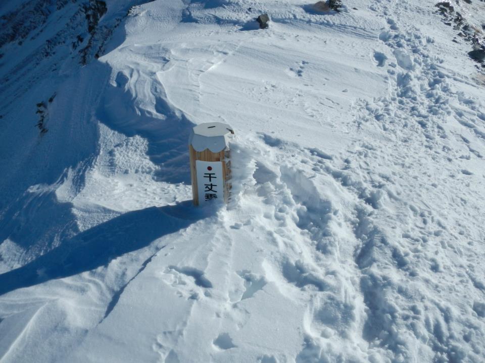 f0182938_20202039.jpg