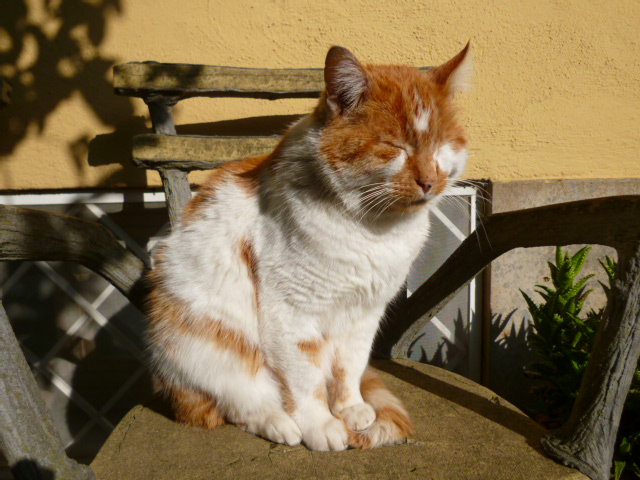 d0170140_51099.jpg