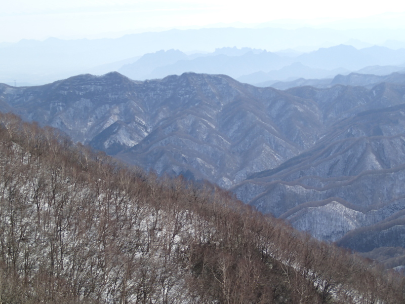 b0190242_11365511.jpg