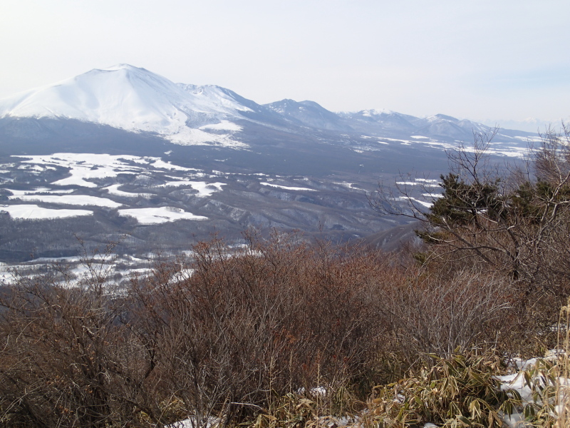 b0190242_1284520.jpg