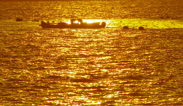 d0186245_1923136.jpg