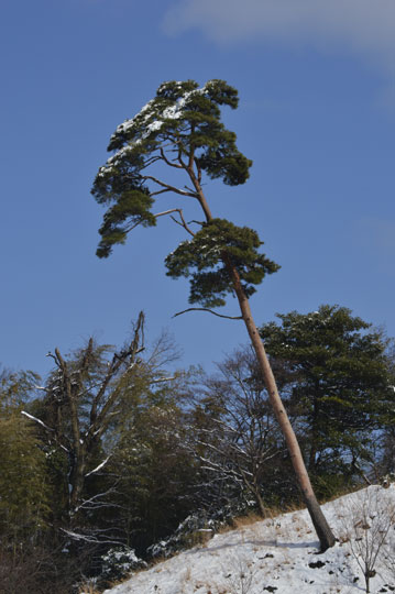 c0093046_158462.jpg