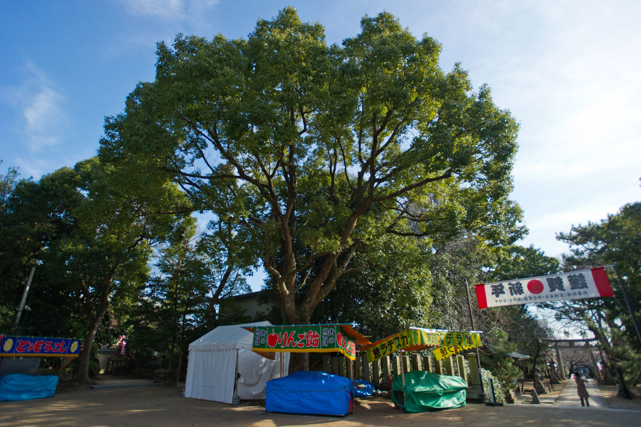 弓弦羽神社　兵庫県神戸市東灘区_b0023047_432820.jpg