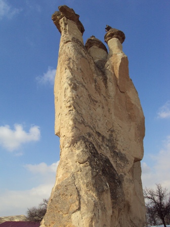 e0010856_70476.jpg
