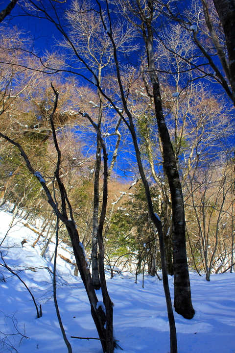 西丹沢　( 大室山 )　第二段。_a0248459_20344524.jpg