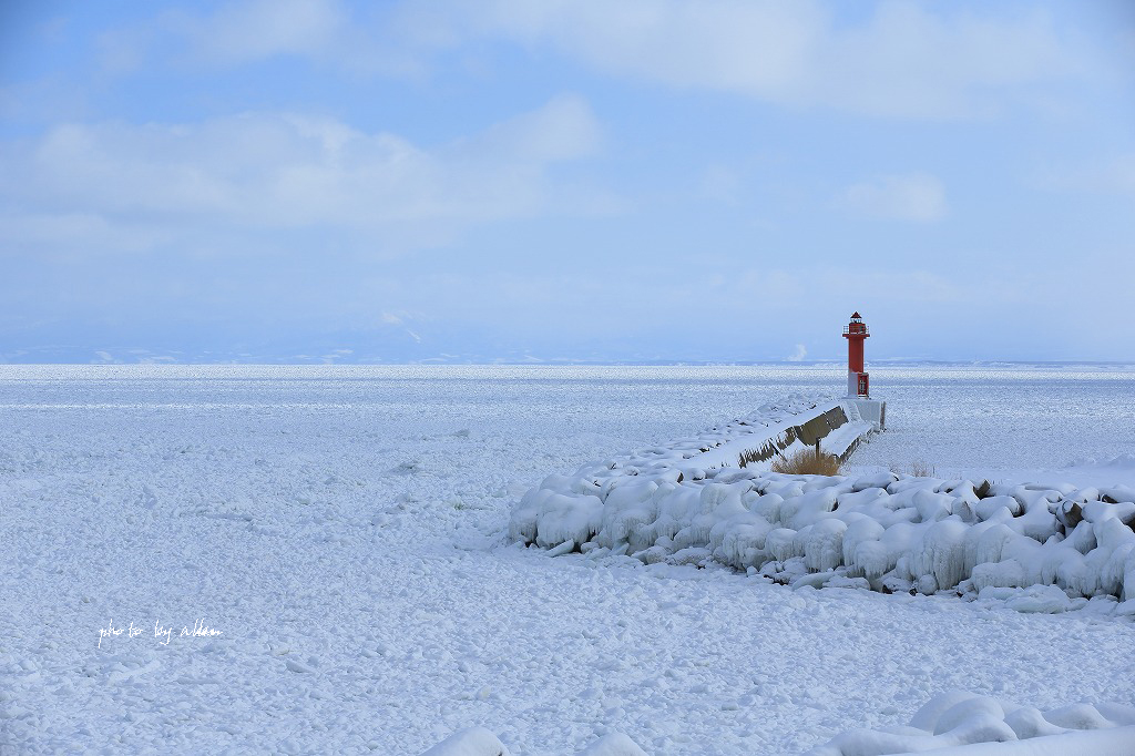 流氷あんど白鳥より～_a0039860_19362983.jpg