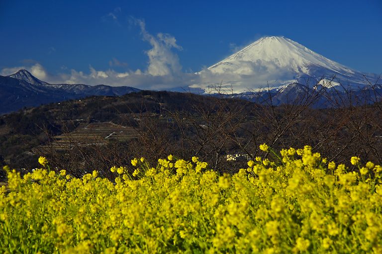 二宮　吾妻山（1月18日）_c0057265_8332317.jpg