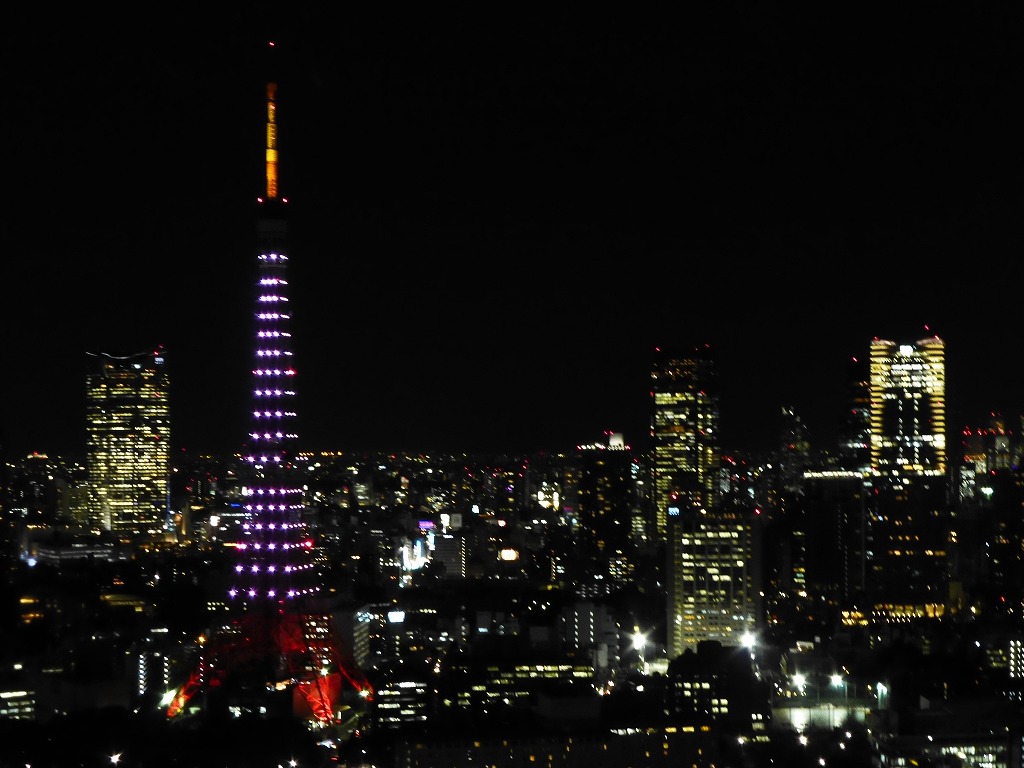 富士山と東京タワー_c0100865_6194680.jpg