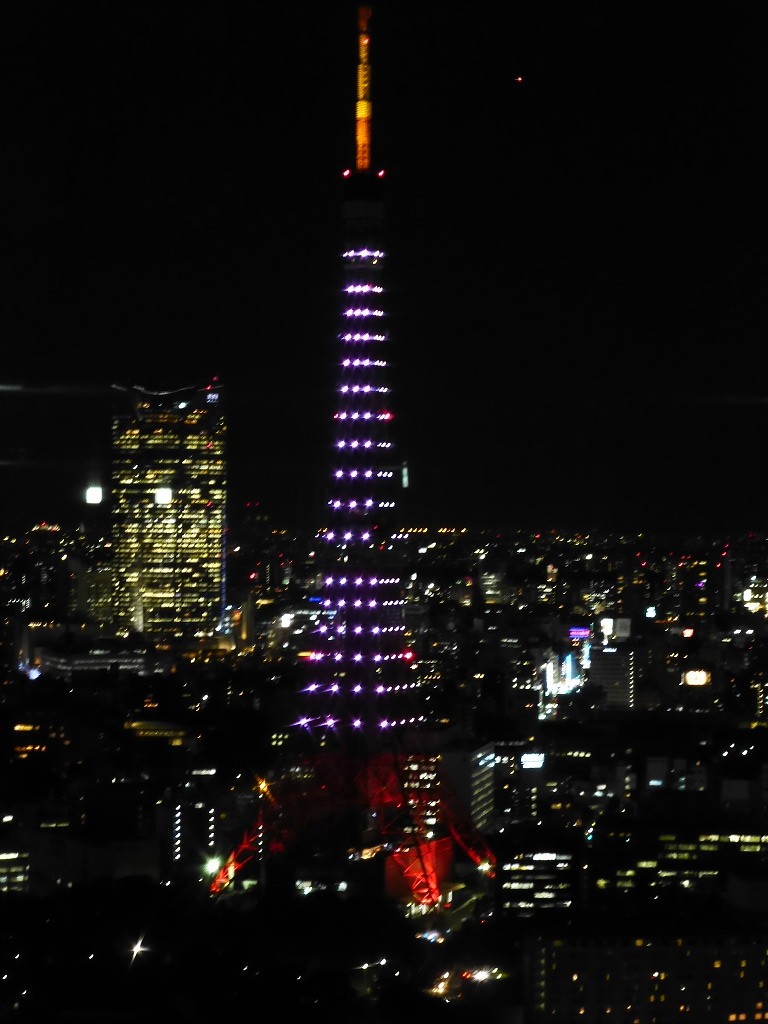 富士山と東京タワー_c0100865_620297.jpg