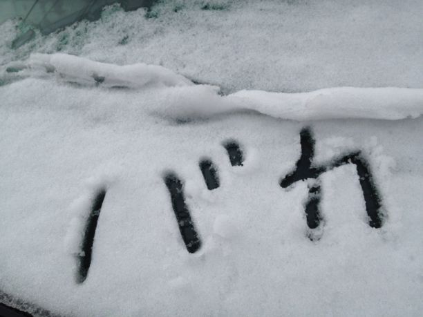 ハードな雪の日_e0170671_1273651.jpg