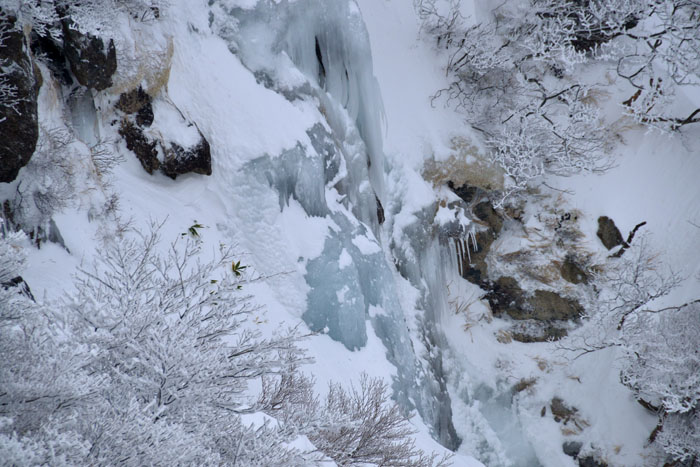 御在所岳の樹氷_a0250584_21315195.jpg