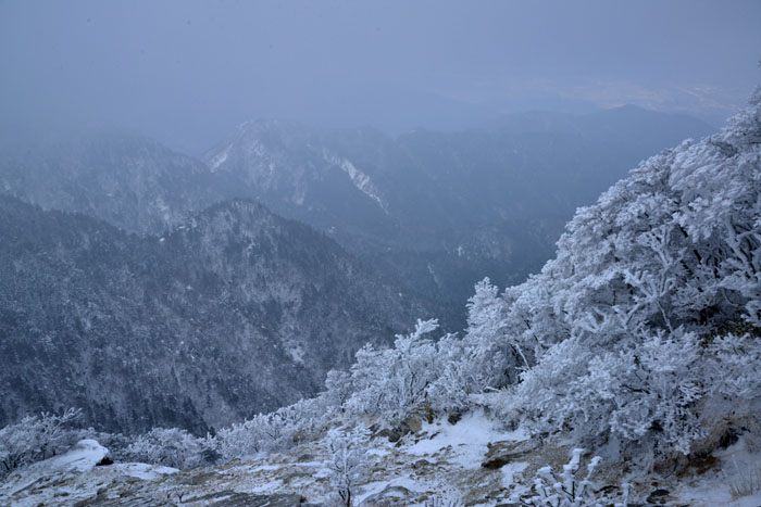 御在所岳の樹氷_a0250584_21334533.jpg