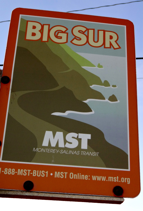 2013/01/14 Big Sur Trail Trip Andrew Molera State Park _b0220886_15193816.jpg