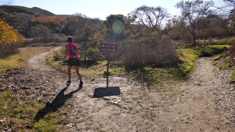 2013/01/14 Big Sur Trail Trip Andrew Molera State Park _b0220886_15364432.jpg