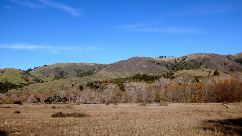 2013/01/14 Big Sur Trail Trip Andrew Molera State Park _b0220886_15372448.jpg