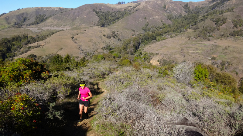 2013/01/14 Big Sur Trail Trip Andrew Molera State Park _b0220886_1541263.jpg