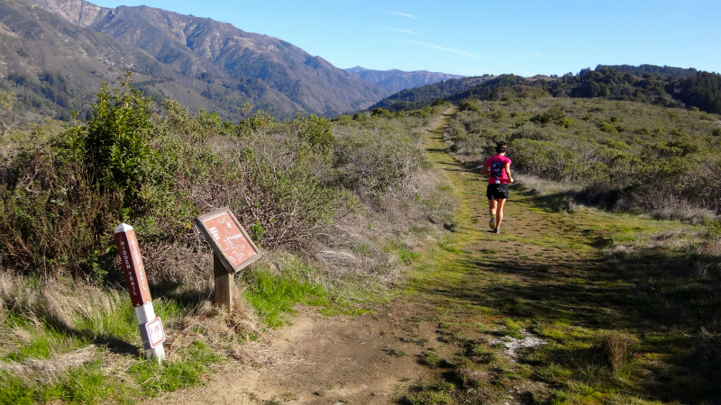 2013/01/14 Big Sur Trail Trip Andrew Molera State Park _b0220886_15424359.jpg