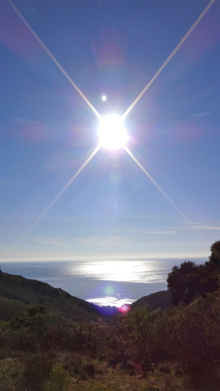 2013/01/14 Big Sur Trail Trip Andrew Molera State Park _b0220886_1543316.jpg