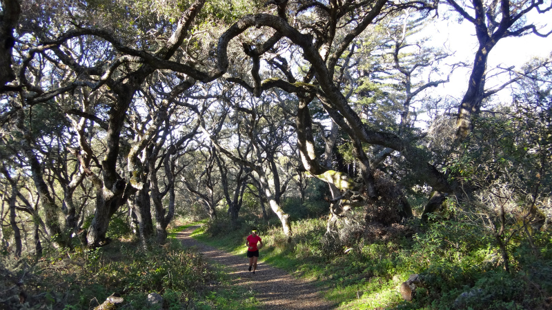 2013/01/14 Big Sur Trail Trip Andrew Molera State Park _b0220886_15452693.jpg
