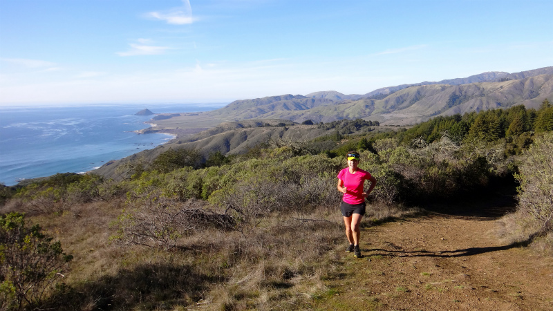 2013/01/14 Big Sur Trail Trip Andrew Molera State Park _b0220886_15481414.jpg
