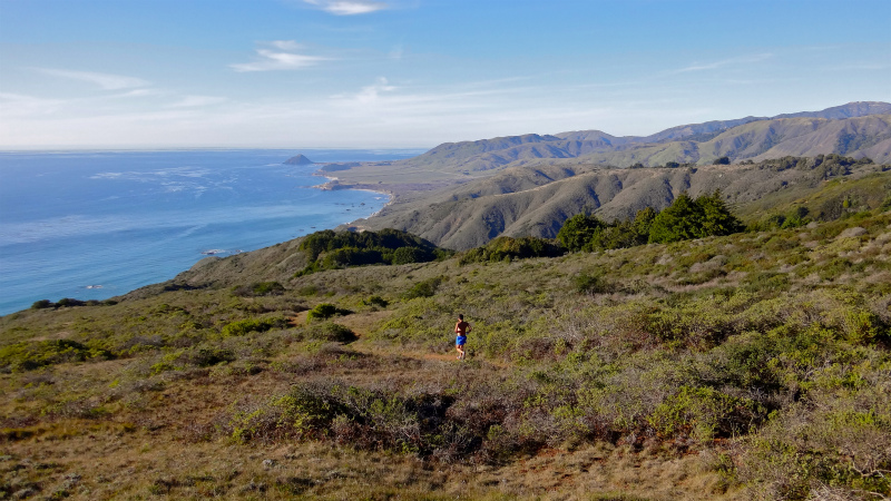 2013/01/14 Big Sur Trail Trip Andrew Molera State Park _b0220886_15513284.jpg