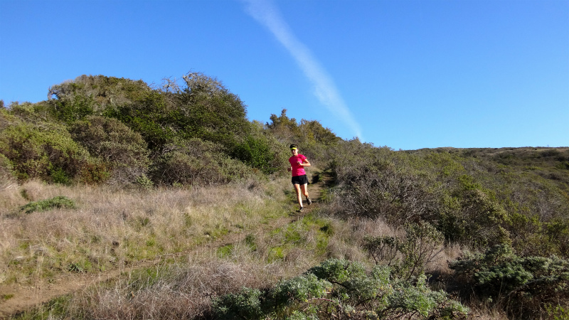 2013/01/14 Big Sur Trail Trip Andrew Molera State Park _b0220886_15515494.jpg