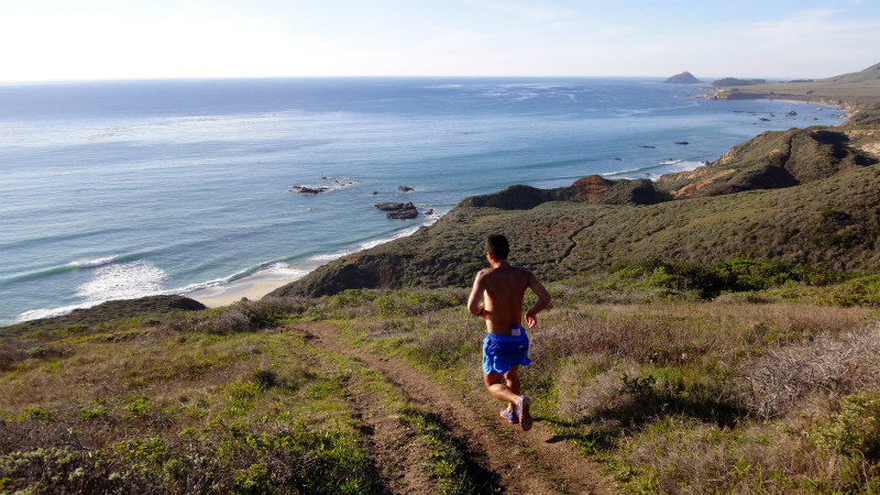 2013/01/14 Big Sur Trail Trip Andrew Molera State Park _b0220886_15532348.jpg
