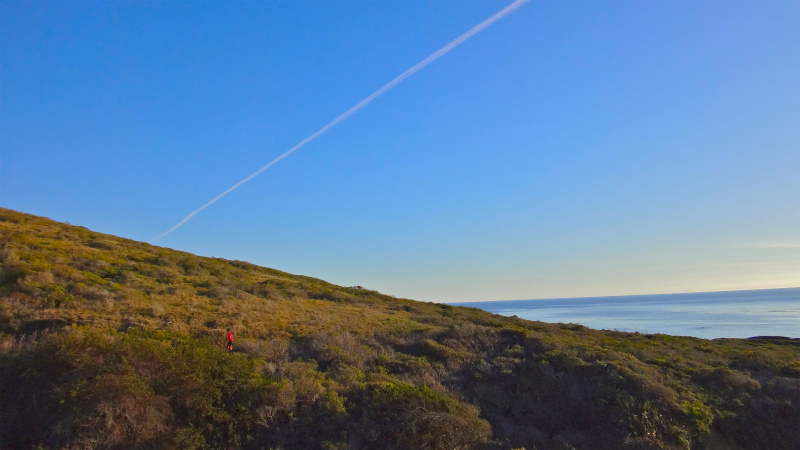 2013/01/14 Big Sur Trail Trip Andrew Molera State Park _b0220886_15545476.jpg