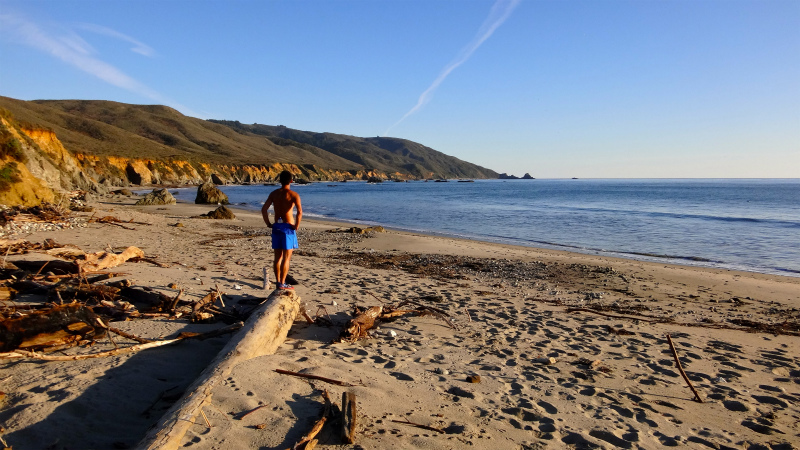 2013/01/14 Big Sur Trail Trip Andrew Molera State Park _b0220886_15574024.jpg