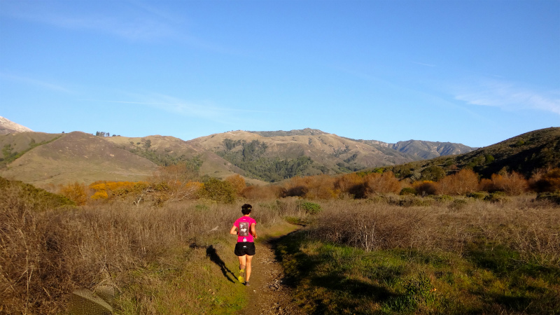 2013/01/14 Big Sur Trail Trip Andrew Molera State Park _b0220886_15591883.jpg