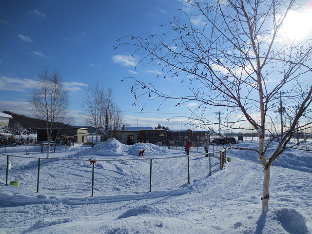 e0160787_194592.jpg