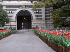 b0192588_10445996.jpg