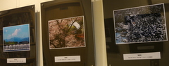 b0192588_1050343.jpg