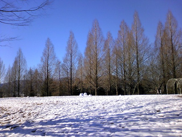 ※残雪※_a0223690_0373698.jpg